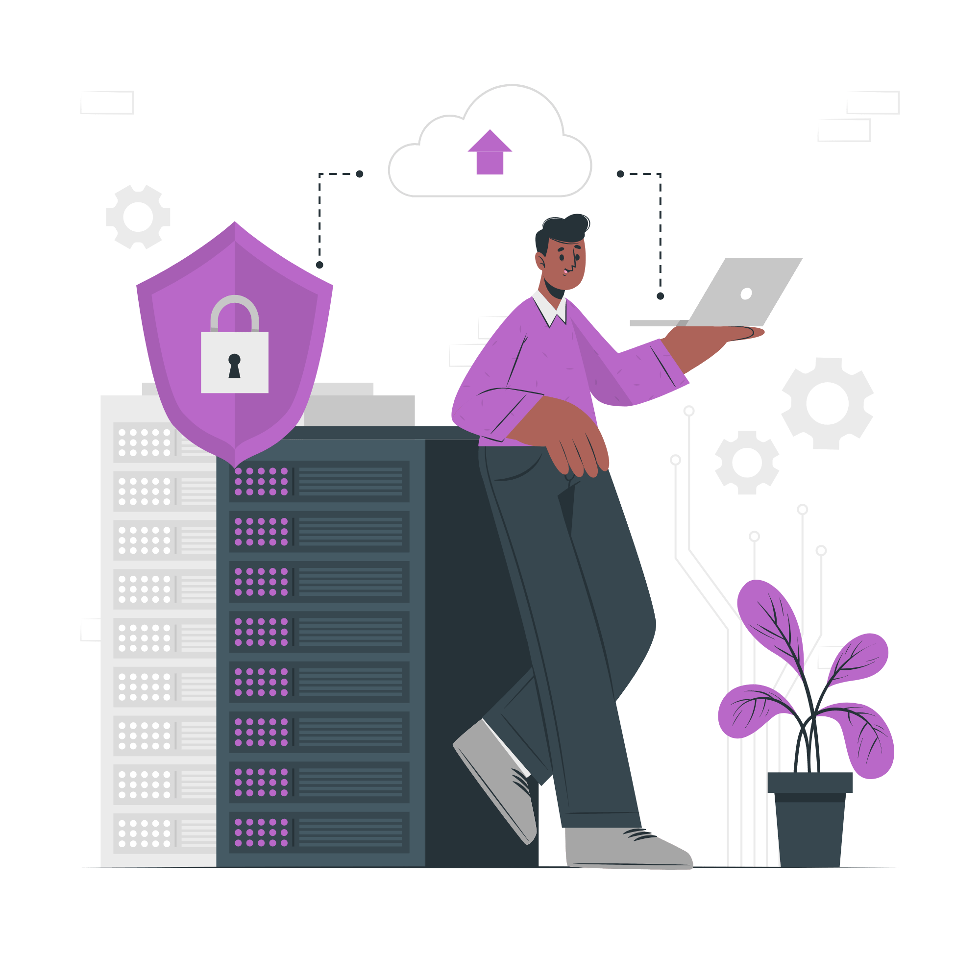 cPanel